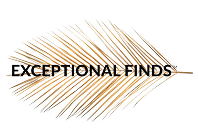exceptional-finds-logo