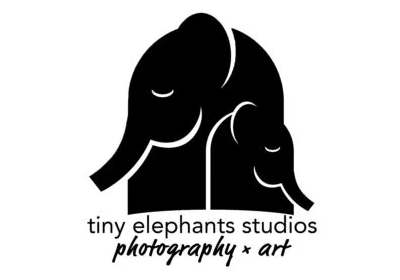 Tiny Elephants Studios